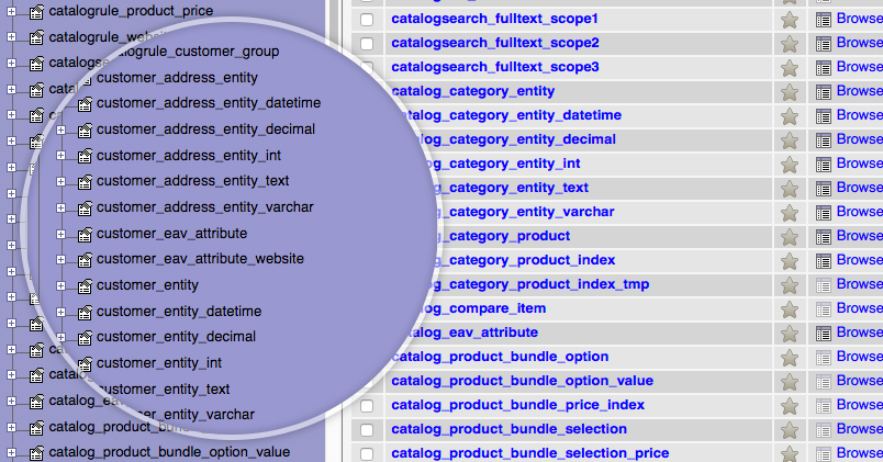 Customer data structures in Magento