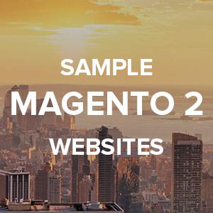 Sample Magento 2 websites