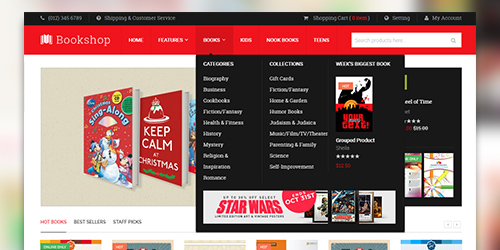 Responsive Magento theme UB Bookshop feature